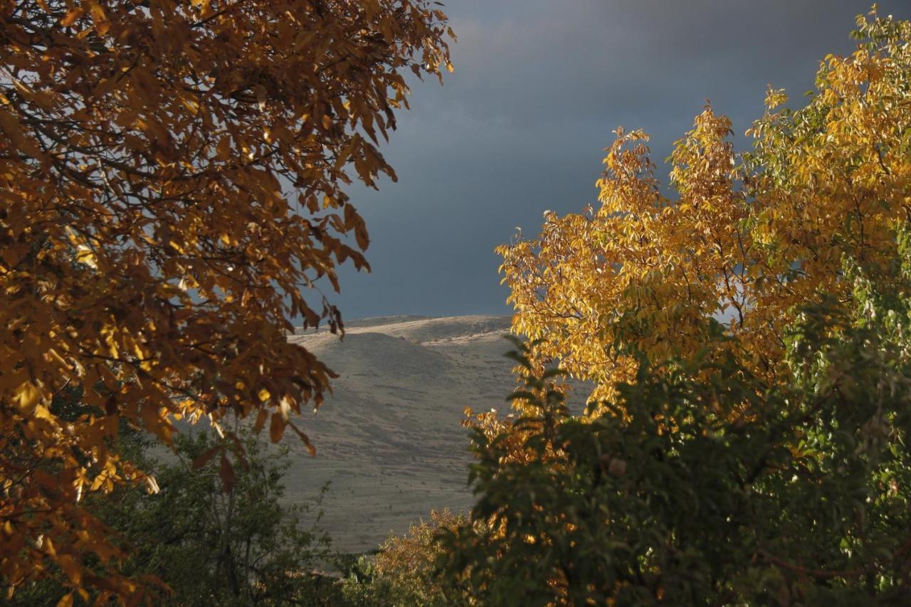 Zove Rural Cottage With Garden Views K'arashamb Экстерьер фото
