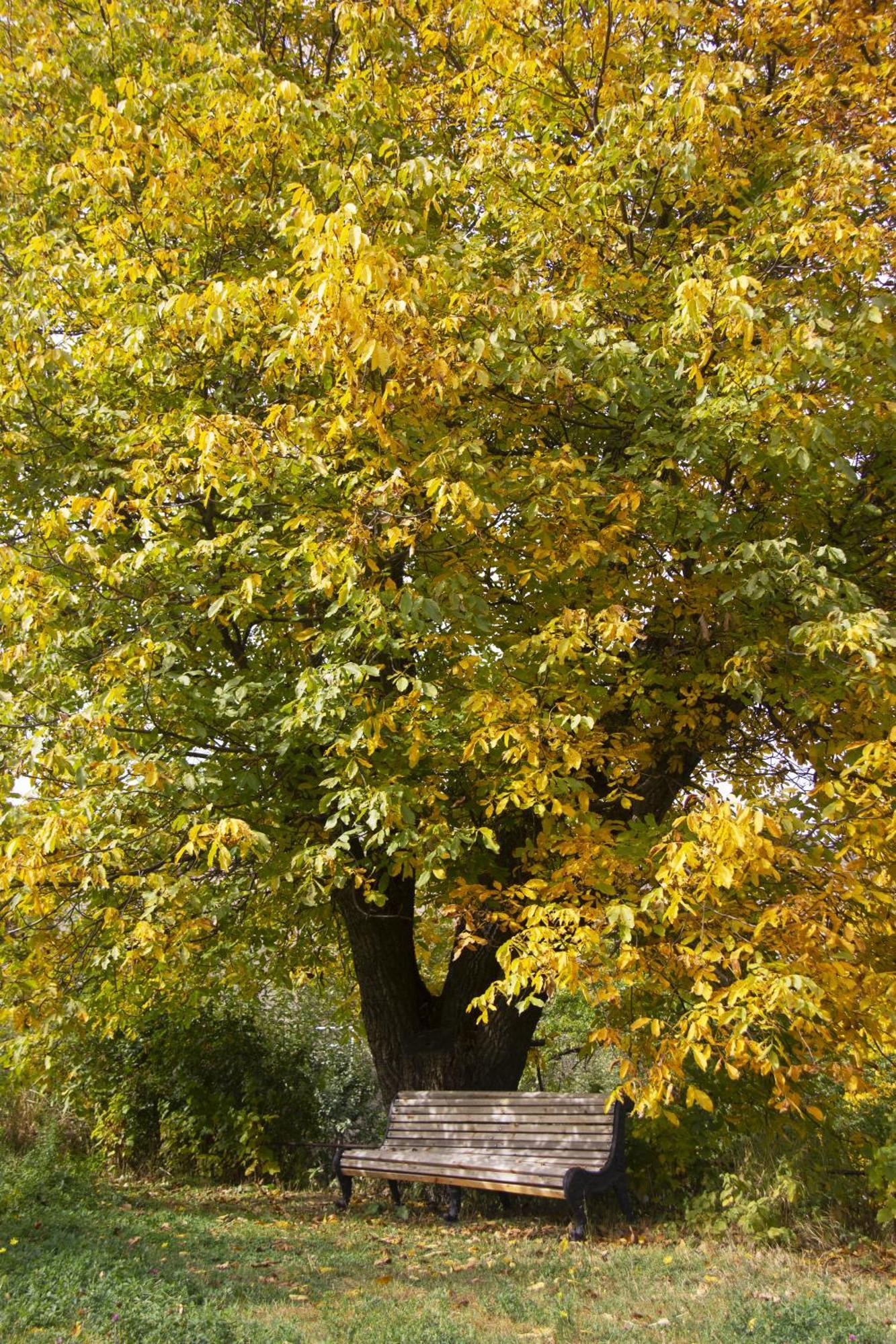 Zove Rural Cottage With Garden Views K'arashamb Экстерьер фото